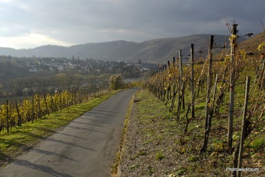 Weinbergstraße