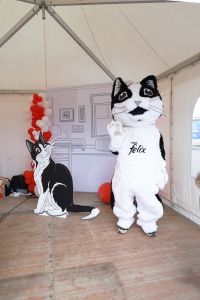 Geburtstagsfest vom größten Tierheim Wiens